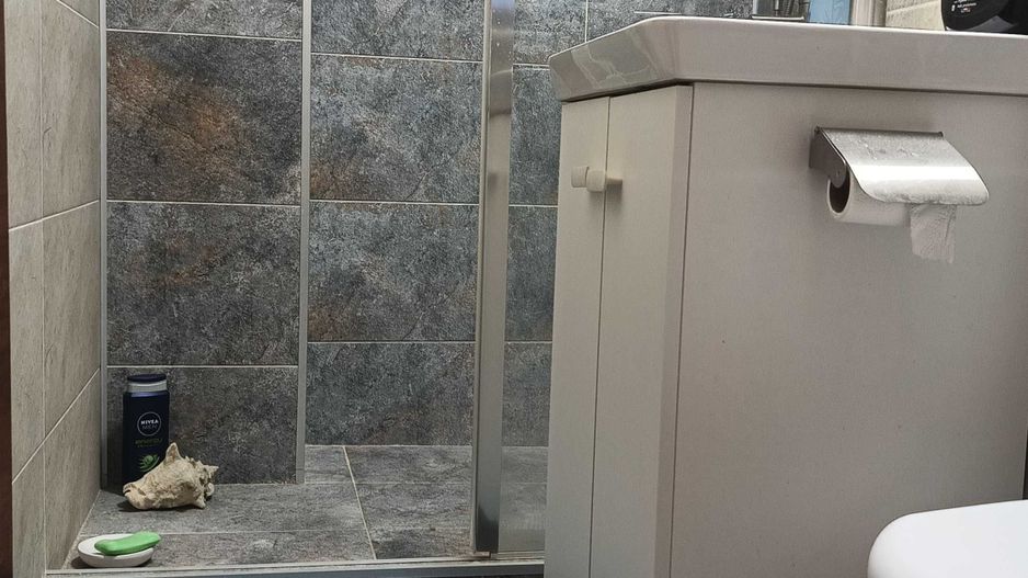 Apartament Stirbei Voda/Berzei - Poză 6