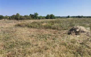 Vanzare teren Smeura cu AC si casa in constructie - Poză 6