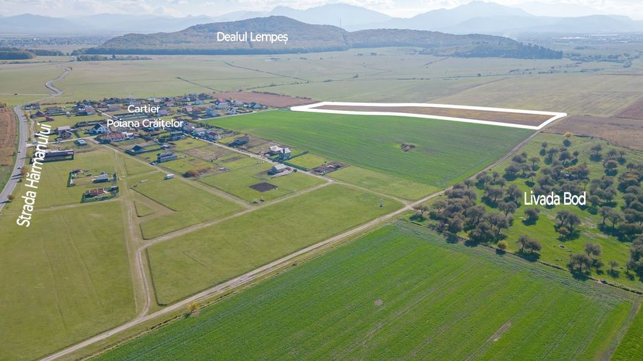 Teren în Bod, zona Poiana Crăițelor, pretabil dezvoltare imobiliară - Poză 5