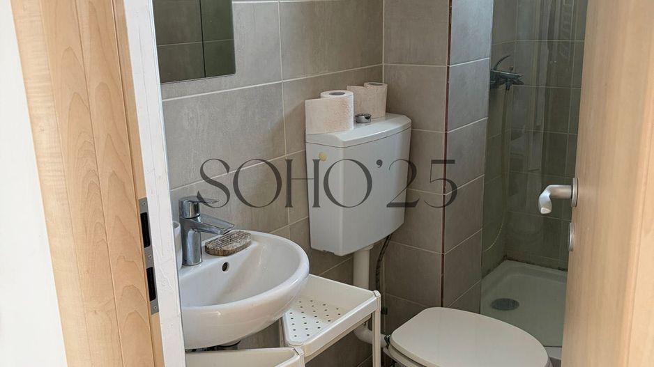 Apartament 2 camere | Expoziției – Aviator Popișteanu | Mobilat - Poză 6