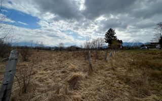 3600 mp Teren pentru investitii - Poză 4