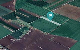 Teren 30.000 mp cu acces asfaltat – Peciu Nou - Poză 1