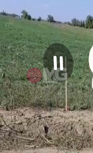 Teren de vanzare Peris ilfov - Poză 2