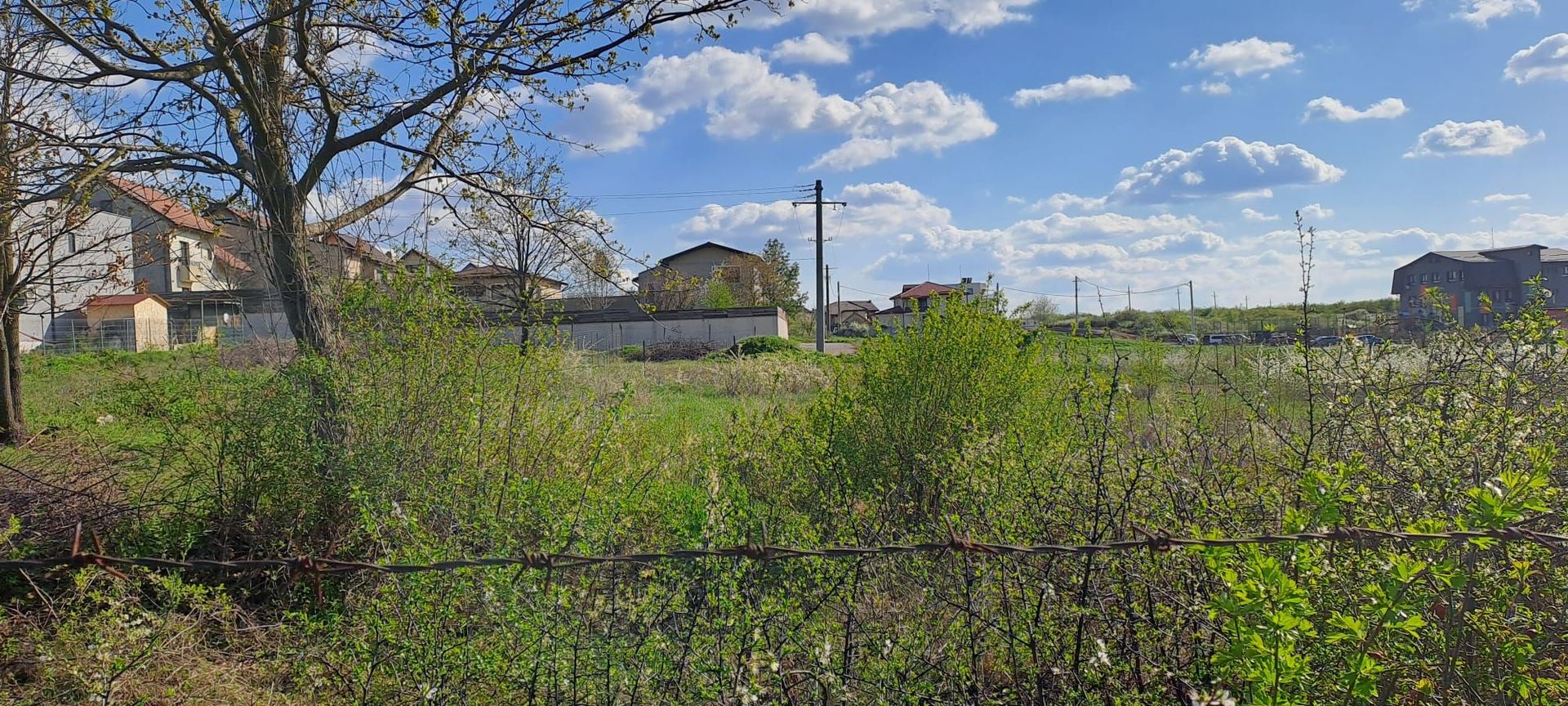 MOGOSOAIA - TEREN 792 mp, utilitati, statii STB, pretabil investitie - Poză 3