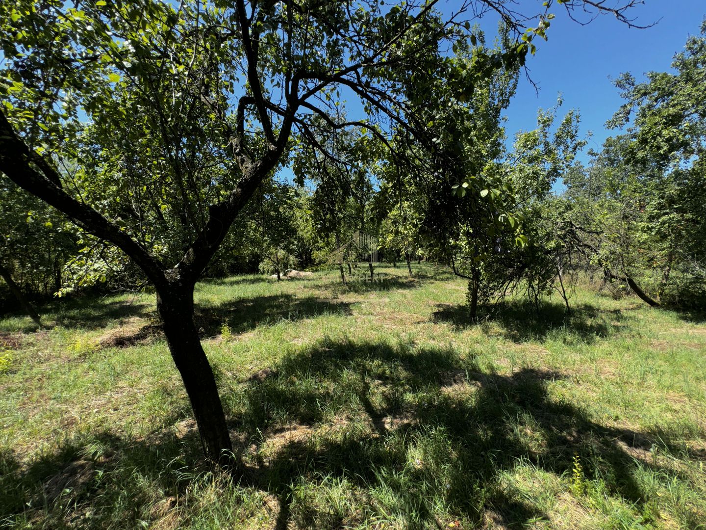 CASA 4 CAMERE CAMPULUNG, TEREN 3213 MP - Poză 28