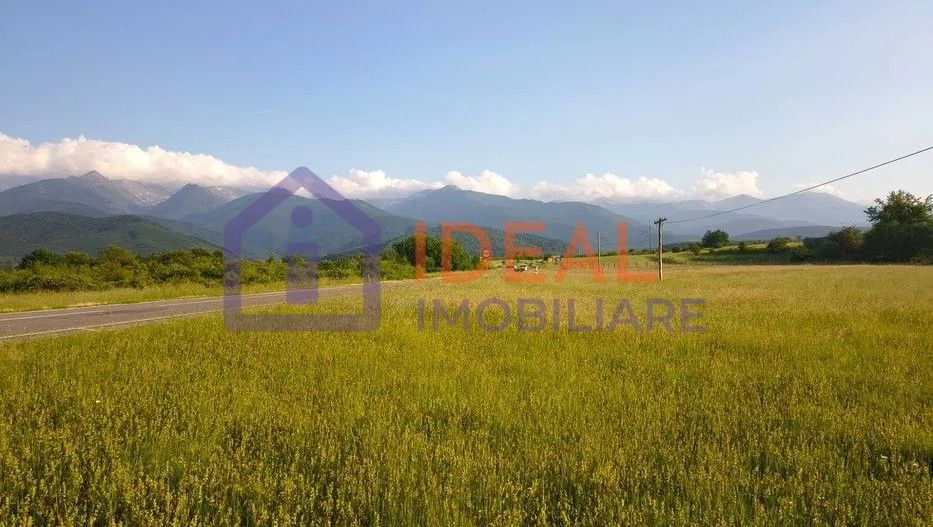 Teren extravilan de vânzare | Cârțișoara | 1800 mp - Poză 4