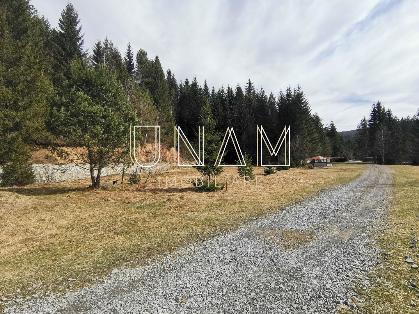 ***OFERTA NOUA*** Teren lângă Scenă, în Poiana Lupului, Gărâna - Poză 8