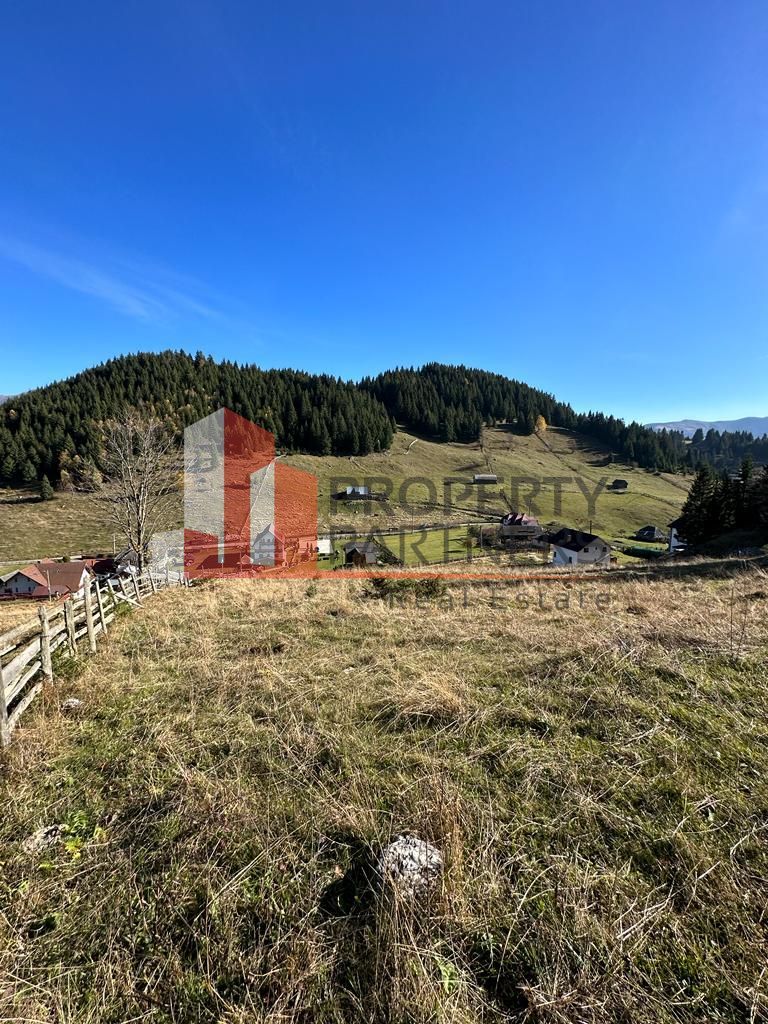 Teren Fundatica intravilan 4500 mp - Poză 9