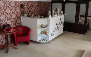 IDEAL PENTRU SALON INFRUMUSETARE / RESTAURANT/BAR/GRADINITE - Poză 9