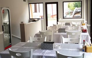 Vila Pensiune in Busteni | zona centrala | afacere functionala - Poză 3