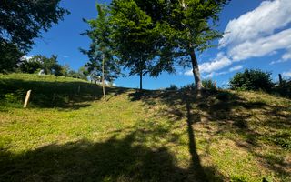 TEREN INTRAVILAN,  SUPRAFAȚA 3446 MP, BUGHEA DE SUS, ARGES - Poză 19