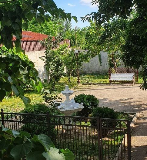 spatiu comercial/clinica/camin de batrani - Poză 7