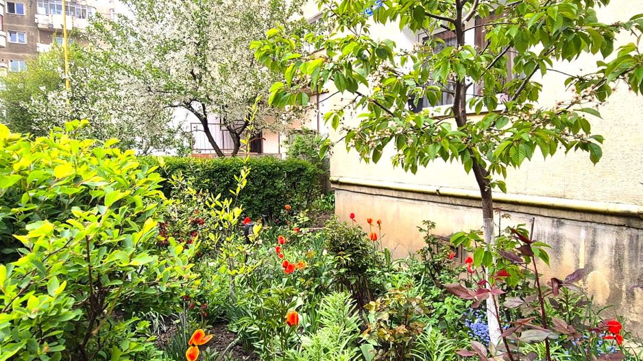 Garsonieră spațioasă, în bloc de apartamente, Zona Vlahuță - ITC,  PET friendly - Poză 20