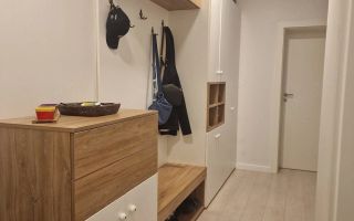 Apartament 2 camere  Dumbrvita - Poză 5