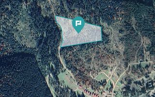 Teren 36000 mp, Borsec - Poză 3