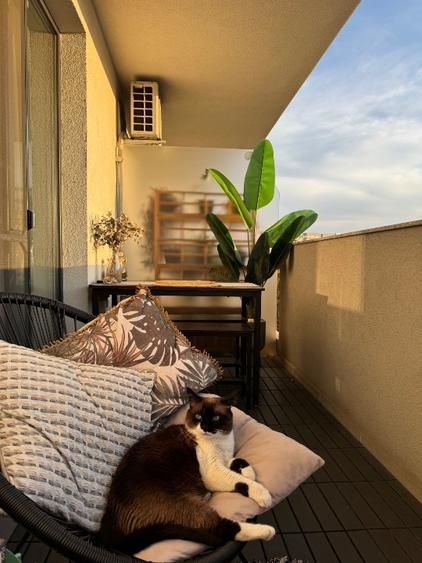 Ap 2 camera Calea Serban Voda 111/ Carol / Tineretului de inchiriat - Poză 12