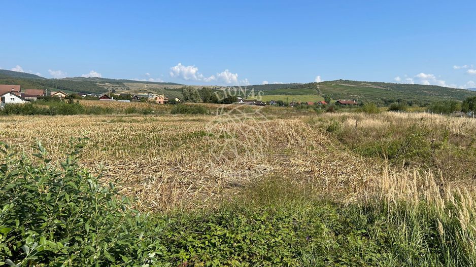 Teren 1000 mp-panoramic-zona in plina dezvoltare- Jelna - Poză 1