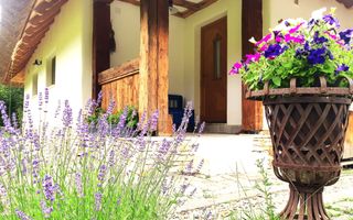 Casa traditionala de vis, aproape de Cluj-Napoca - Poză 4