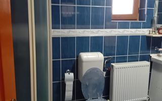 Casă Spațioasă P+1+M, 265 mp Utili, 1000 mp Teren – Toate Utilitățile, Vânători - Poză 10