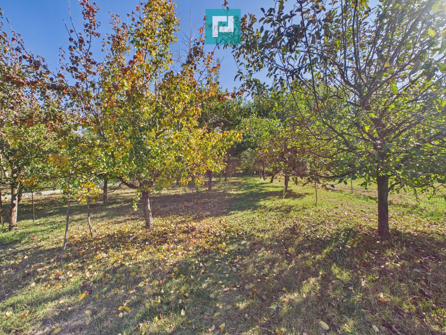 Casă cu 3 dormitoare în Bătania - Poză 27