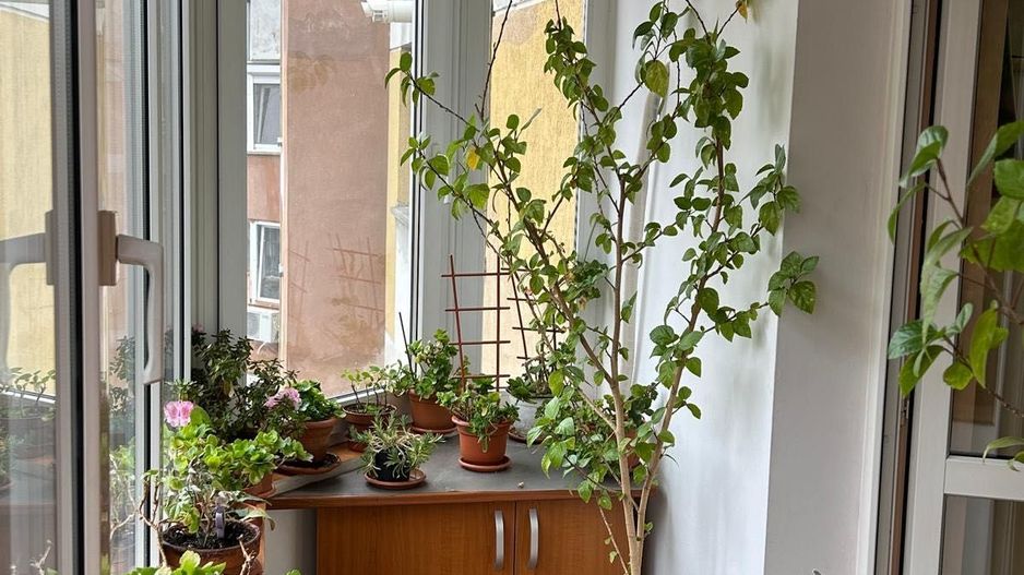 Apartament de vânzare str. Nerva Traian lângă școala 81 - Poză 6