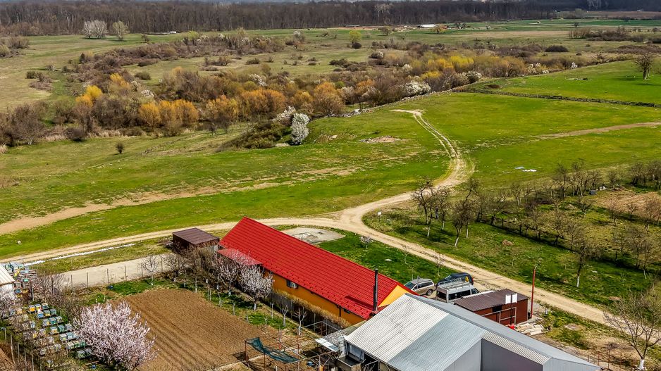 Casă modernă (2021) – Priveliște panoramică spre Lunca Mureșului - Poză 1