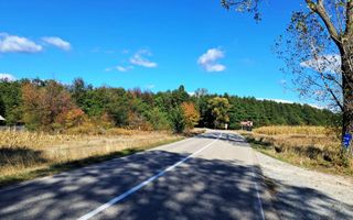 TEREN INTRAVILAN ȘI EXTRAVILAN BAIA DE FIER - Poză 9