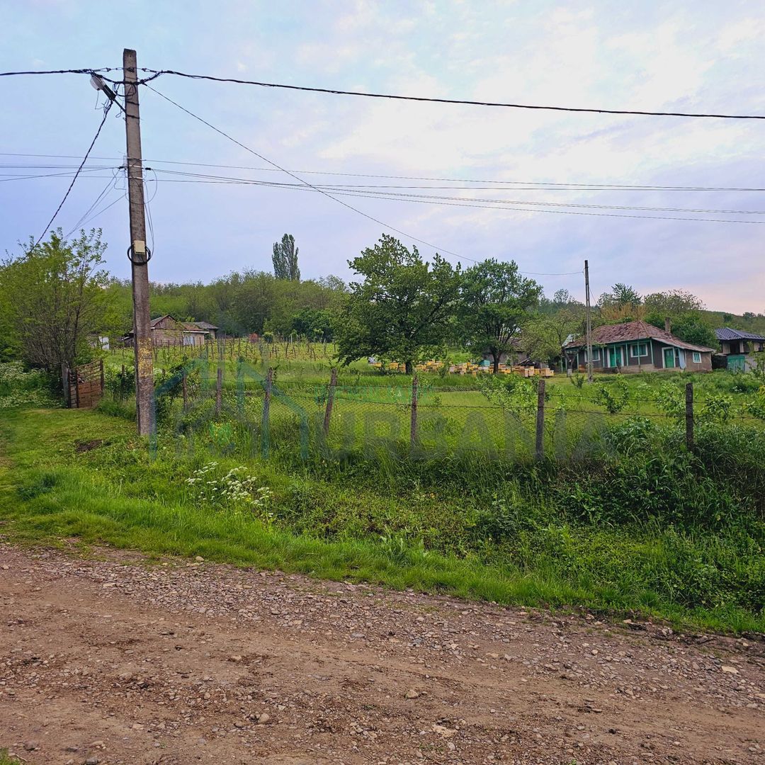 Casă de vânzare în satul Roșu, comuna Răducăneni, județul Iași – teren 5.000 mp cu livadă și vie - Poză 5