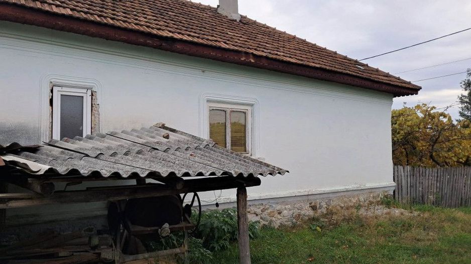 CASĂ SI TEREN BAIA DE FIER - Poză 3