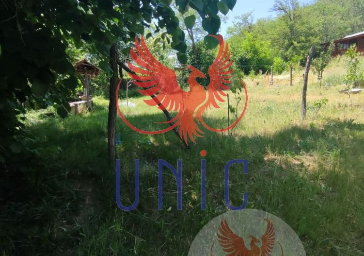 Teren intravilan Cernatesti - Poză 5