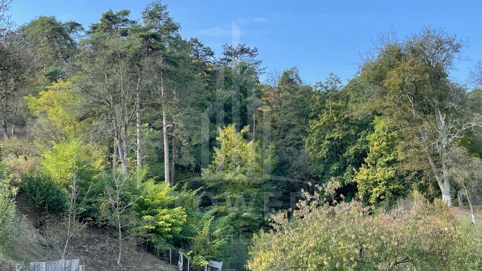 Casa de vanzare - teren 1400 mp - Laslea , Sibiu - Poză 12