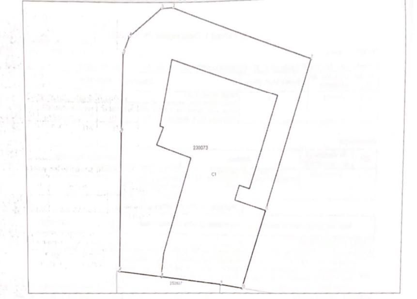 Casa de închiriat zona Floreasca - Poză 2