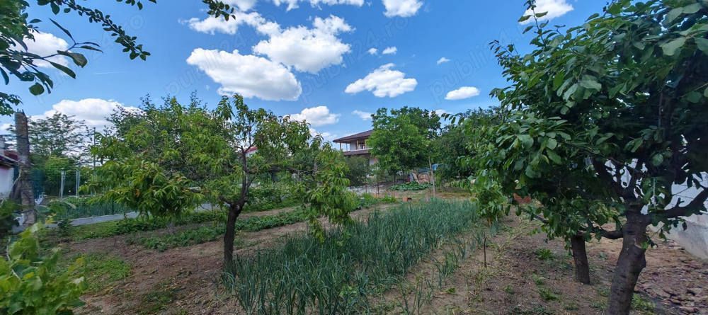 Casa cu 3 camere | Buftea | Toate utilitatile | Langa padure si lac - Poză 4