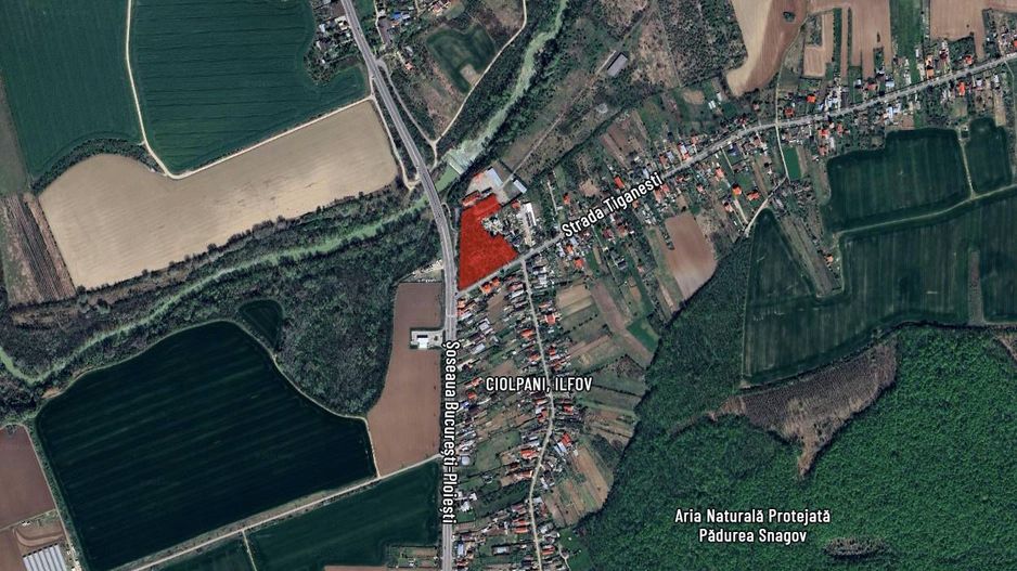 Teren intravilan comercial cu expunere directă la DN1 – Ciolpani, Ilfov  / km 36 - Poză 8
