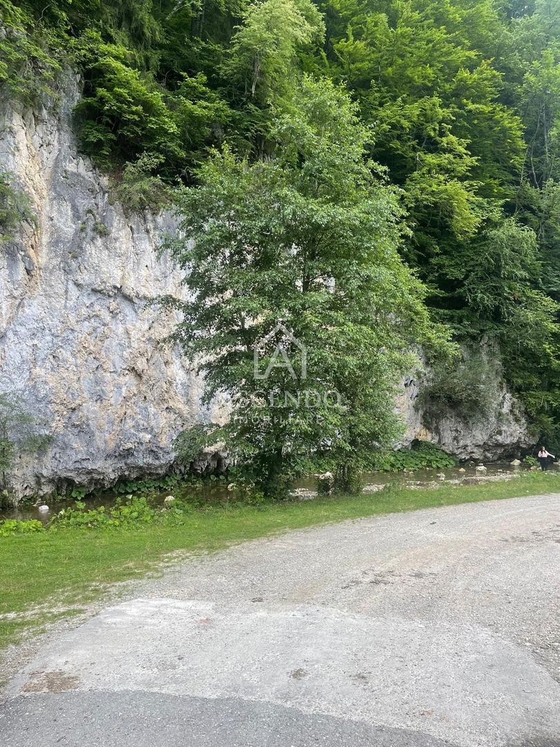 Teren pentru investiție turistică în Dâmbovicioara – Baranga | 4.500 mp | Front ~102 ml - Poză 15