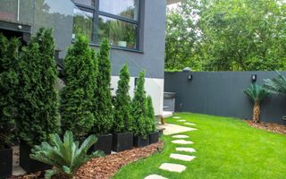 Apartament cu grădina de închiriat | Iancu Nicolae - Poză 5