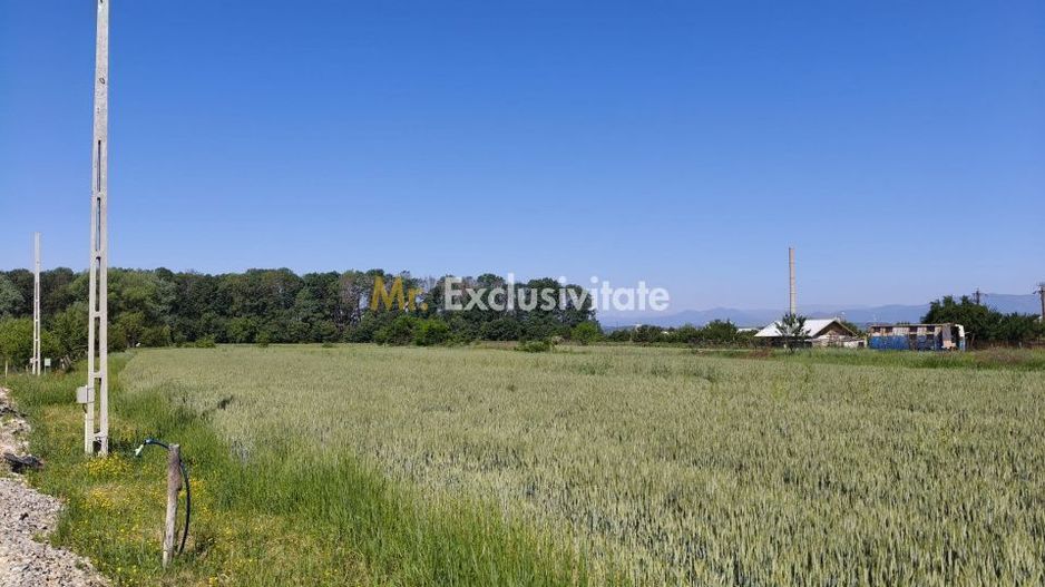 Teren 10.294 mp de vânzare Târgu Jiu | Intravilan + Extravilan | Utilități - Poză 3
