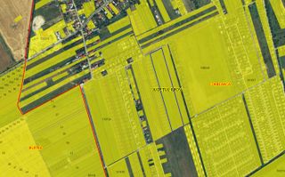 Teren Tamasi Corbeanca - Poză 1