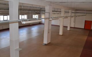 Hala de vanzare in zona Torontalului - Poză 7