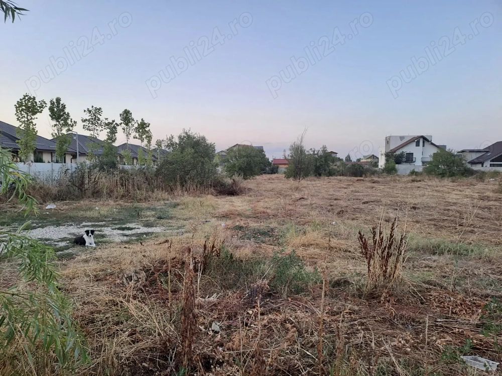 De vanzare teren intravilan 4685 mp, Cornetu-aproape de A0 - Poză 5