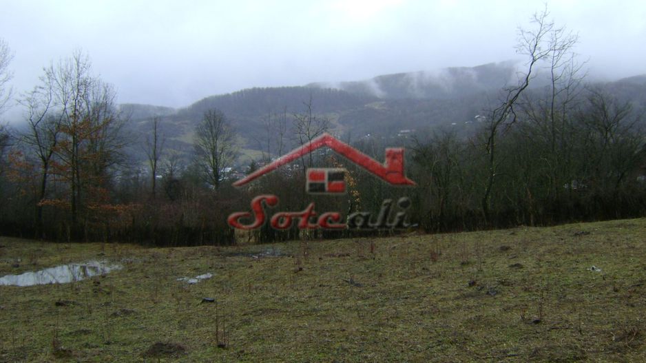 Teren de vanzare in Provita de jos - Poză 7