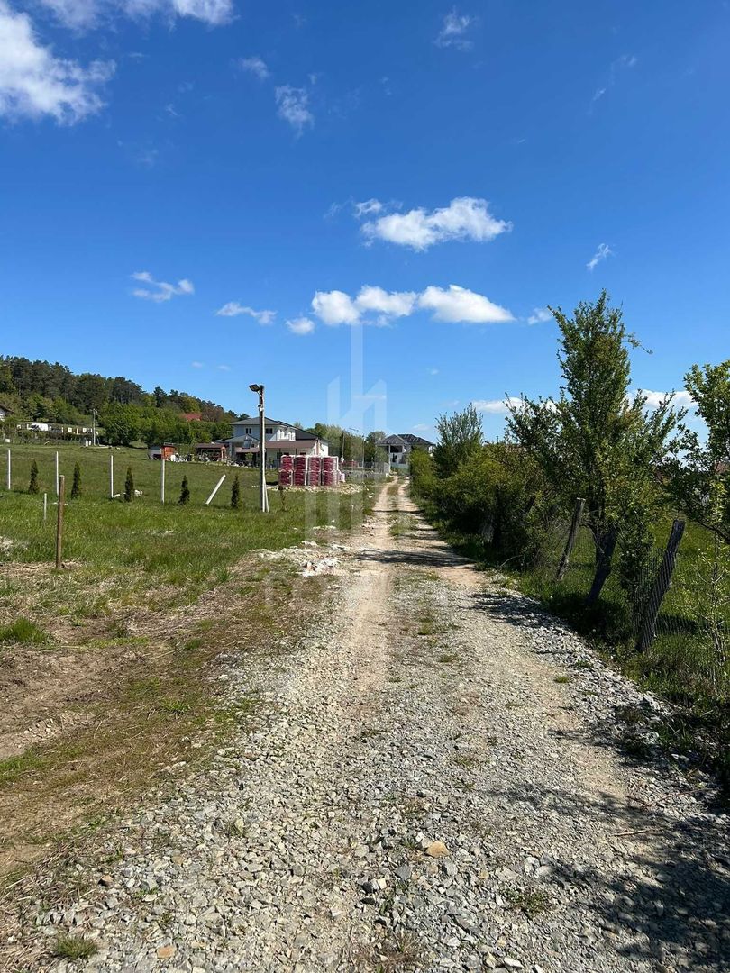 TEREN 600 MP | VEDERE PANORAMICĂ | LA MARGINEA PĂDURII | Tocile, SIBIU - Poză 6