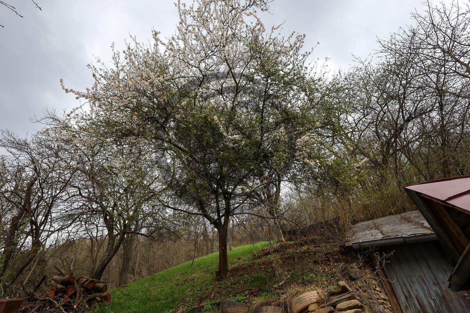 Casa 3 camere de vanzare | 2600mp teren| Cerasu, Prahova | Comision 0% - Poză 15