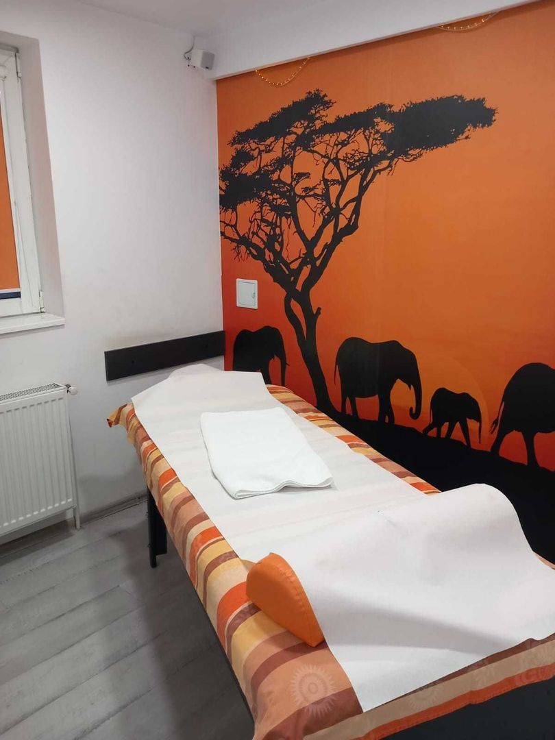 APARTAMENT 3 CAMERE VICTORIEI - Poză 5