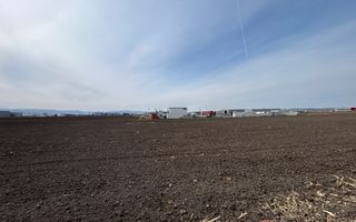 Teren intravilan de vânzare – 10.000 mp – Zona Industrială Vest | Comision 0% - Poză 5