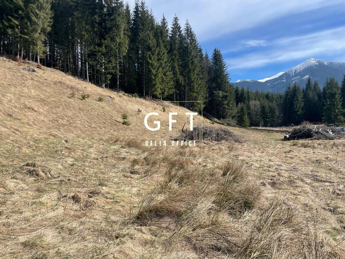 Teren Extravilan, 11731mp,Colibita - Poză 1