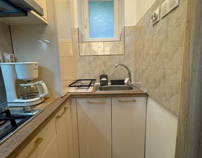 Apartament confortabil cu doua camere, Cismigiu- Casa Radio - Poză 7