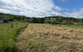 Teren intravilan 1750 mp | Hamba, Sibiu | utilități pe teren - Poză 6