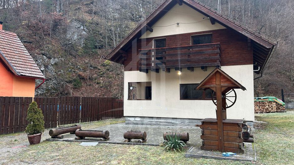 Casă de vacanță în Râu Sadului - Poză 14