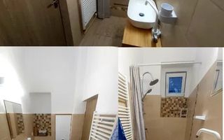 Garsoniera decomandata Bd. Victoriei, laga Parcul Sub Arini - Poză 4